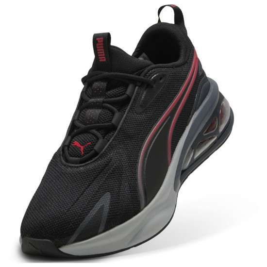 Puma Cell Solar